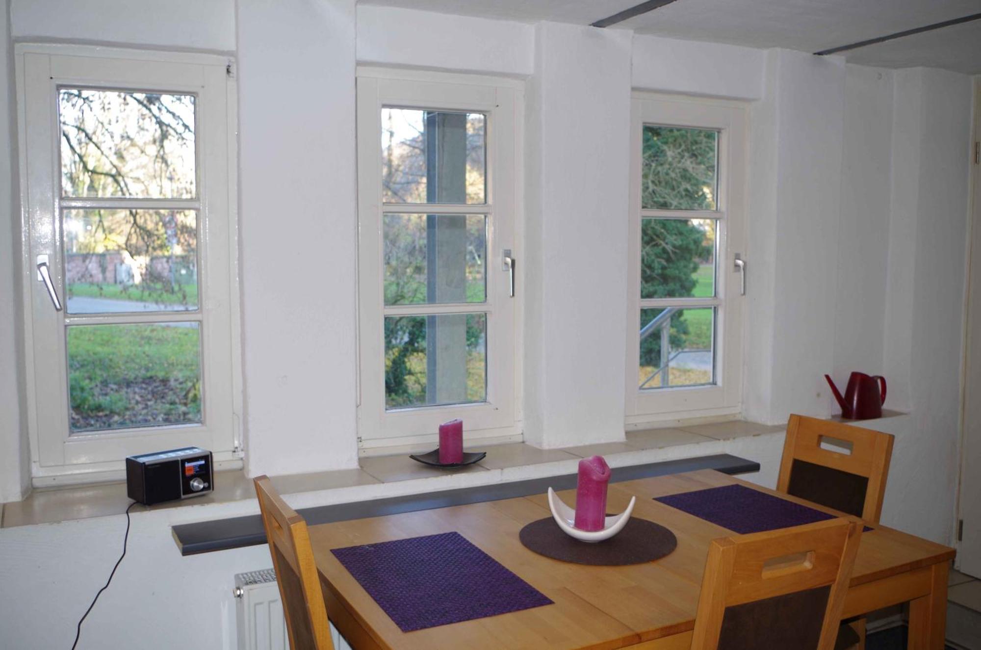 Ferien-Wohnung Am Menzer-Park 内卡尔格明德 外观 照片